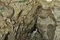 Calcite crystals cover much of the walls in some sections of the cave. Typically they are a dull brown color as in this room.