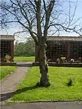 Jimmy Clitheroe's memorial tree