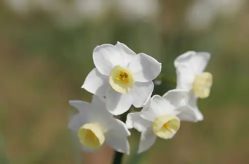 f/5.6 – large aperture and fast shutter