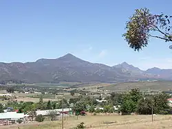 Joubertina