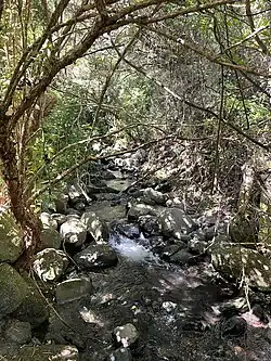 Upper valley