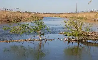 Kalmius River