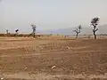 Khaireni