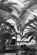 The kibbutz dining room in 1946