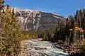 Ogden's South ridge and Kicking Horse River