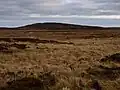Bught Fell and Kilhern Moss