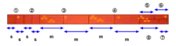 A diagram showing how a tanmono is cut into the pattern pieces for a kimono.