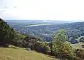 Kingley Vale
