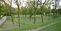 Graves of victims of occupation