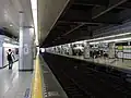 Tobu Skytree Line platforms at the first floor, 2016