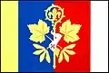 Flag of Klenovice