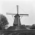 Westerveld Möl