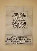 Krakowskie 66