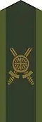 Collar patch m/1958.