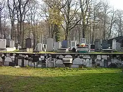 Panoramic view