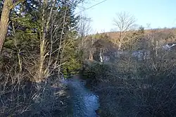 Kratzler Run at Stronach