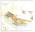 Geological map of the region