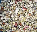 Kwati sprouts