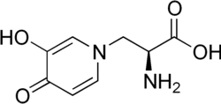 Structural formula of L-mimosine