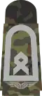 bright-grey emblem on 5-colour-flecktarn – Luftwaffe (Hauptfeldwebel)