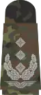 Oberst (Flecktarn)