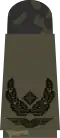 b.Major (flecktarn uniform – Luftwaffe)