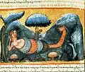 fol.181v-Job.XL.17