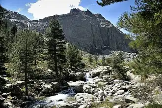 Restonica valley
