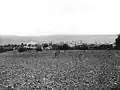 View taken between 1901 and 1904