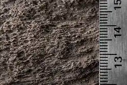 A macro photo of the lacustrine parent material on monolith 7-04 from the UBC Soil Monolith Collection. The soil is grey-ish brown with consistently textured horizontal layers. The right side of the image has a three-centimetre scale bar.