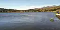 Alpina tundra at Laguna de Mucubají