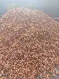Lakadong Turmeric Fingers ready for slicing