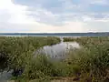 Bolgrad, City Park, by Lake Yalpug