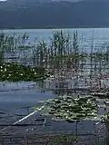 Partial view of Lake Trichonida.