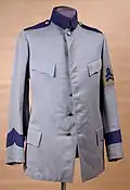 Tunic (Vapenrock m/11) with armband