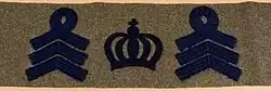 Battalion commander