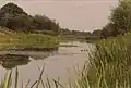 Langham Pond