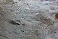 Low relief rock art in a limestone pavement 2