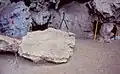 Burial 2 was immediately below this speleothem. Could explain the absence of the upper limb.