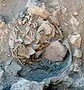 Burial 6. Excavation at exposition 4.