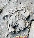 Burial 11 - Excavation at exposition 1.