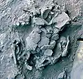 Burial 11 - Excavation at exposition 2.