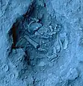 Burial 12. Excavation at phase 7.