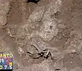 Burial 15. Excavation at exposition 12.