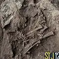 Burial 19. Excavation at phase 11.
