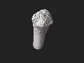 Isolated bone (PN3305) - 3D