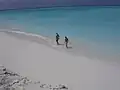 Lee shore beach on Long Island, The Bahamas.