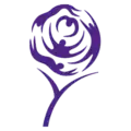Leeds Carnegie logo (2006–2010)