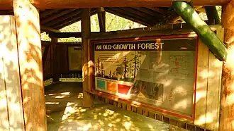 Interpretive panels