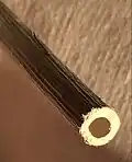 Single pan-pipe (lower end closed by natural septum) sawn from a dead stem
